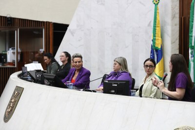 seminrio-de-capacitao-s-procuradoras-da-mulher-do-estado-do-paran_54921007247_o.jpg
