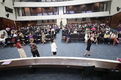 seminrio-de-capacitao-s-procuradoras-da-mulher-do-estado-do-paran_54921500573_o.jpg