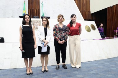 seminrio-de-capacitao-s-procuradoras-da-mulher-do-estado-do-paran_54921500618_o.jpg