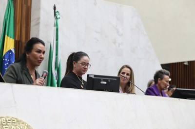 seminrio-de-capacitao-s-procuradoras-da-mulher-do-estado-do-paran_54921871631_o.jpg