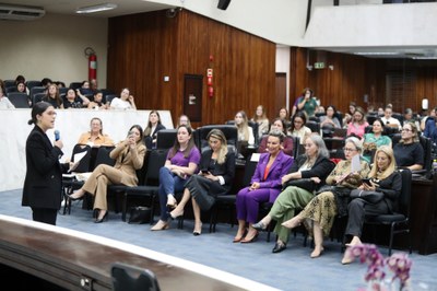 seminrio-de-capacitao-s-procuradoras-da-mulher-do-estado-do-paran_54921873156_o.jpg