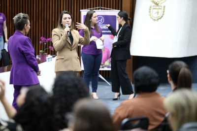 seminrio-de-capacitao-s-procuradoras-da-mulher-do-estado-do-paran_54922126779_o.jpg