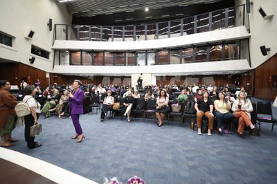 seminrio-de-capacitao-s-procuradoras-da-mulher-do-estado-do-paran_54922128289_o.jpg