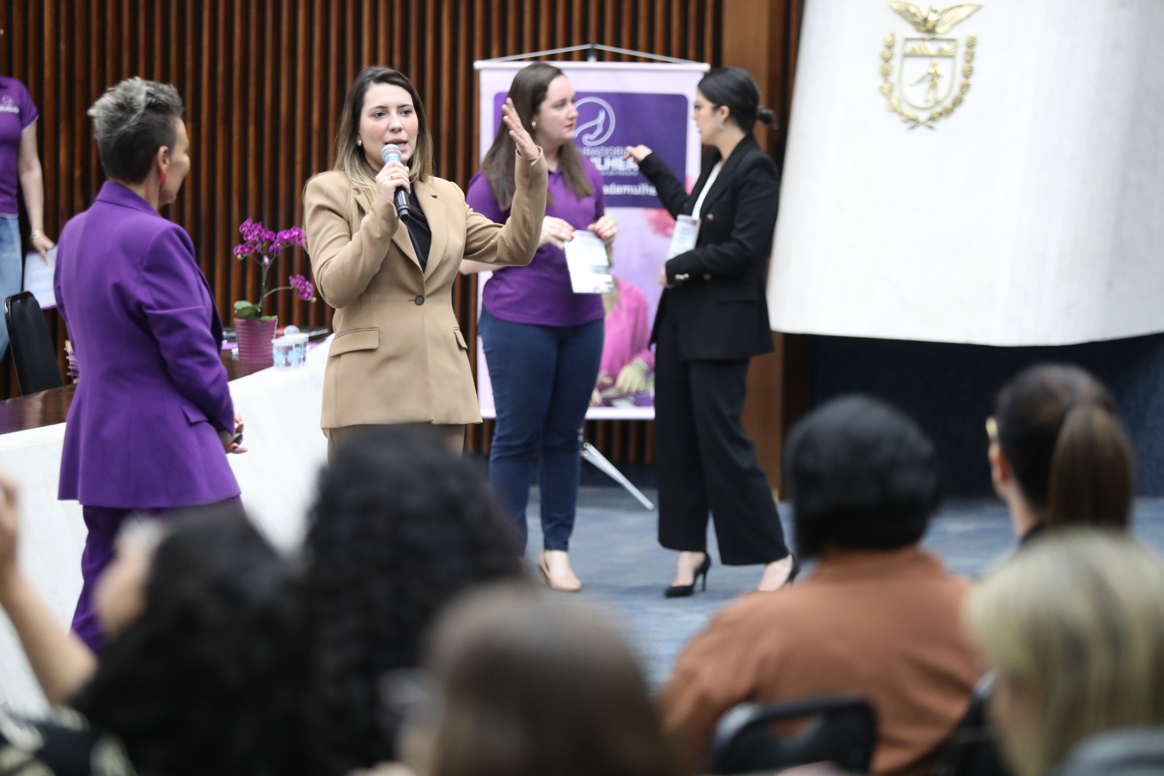 seminrio-de-capacitao-s-procuradoras-da-mulher-do-estado-do-paran_54922177165_o.jpg