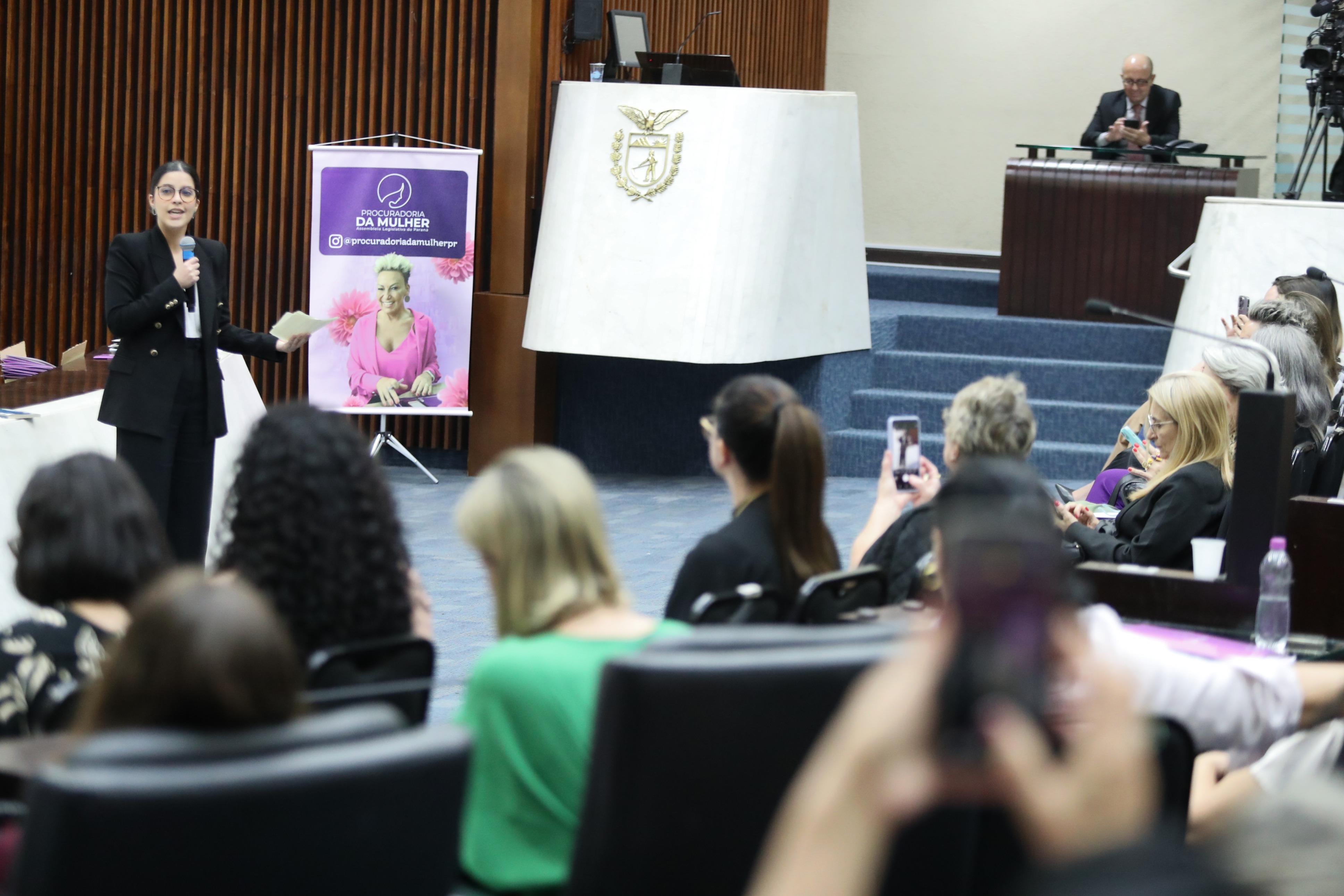 seminrio-de-capacitao-s-procuradoras-da-mulher-do-estado-do-paran_54922178085_o.jpg