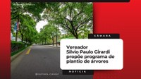 Arborização Urbana